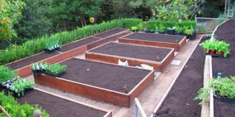 Jak udělat pravé postele v zemi to udělat sami